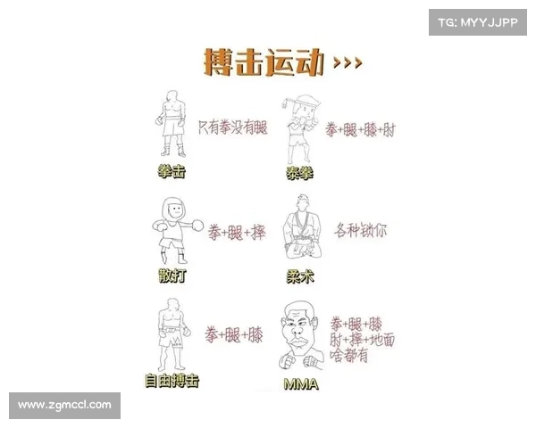 搏击大国排名、世界各国搏击赛事国籍分类大全与详细盘点解析