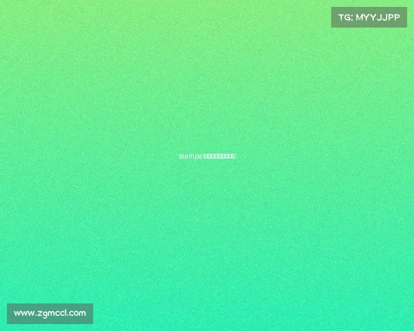 teampai电子竞技俱乐部老板