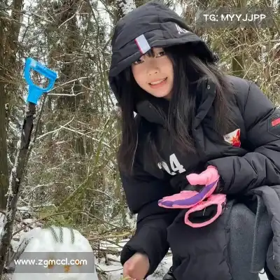 董治鹤